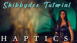 Shibbydex Haptic Guide - porn video